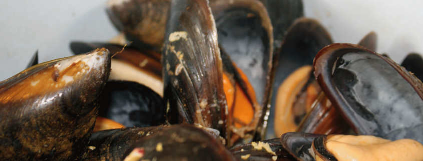 Qué comer en el Camino de Santiago - mejillones